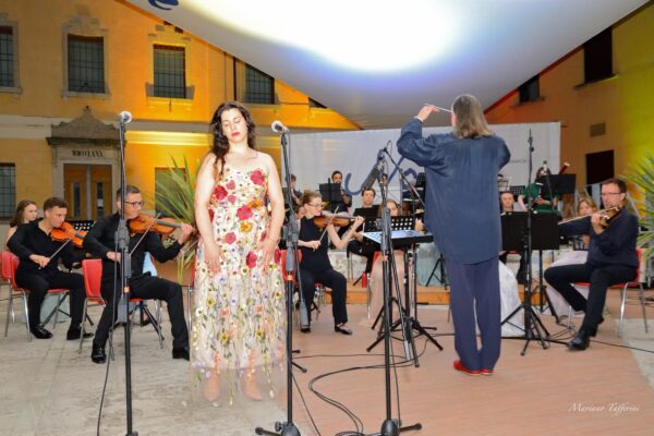 Nove 20250719 Concert 58